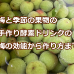 梅と季節の果物の 手作り酵素ドリンクの 梅の効能から作り方まで